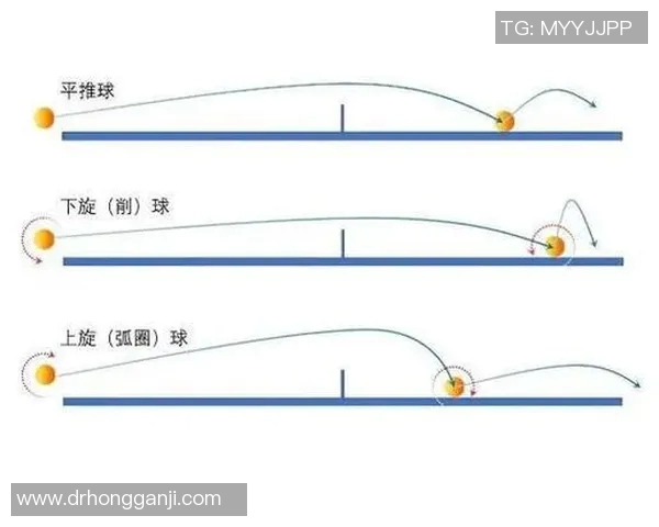 乒乓球专题：深入探讨杭州乒乓球队的技术创新与训练方法