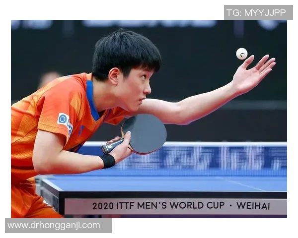 乒乓球新手必看：从基础意识到实战技巧的全面入门指南