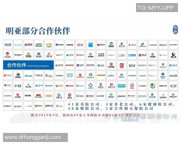深圳篮球队的奋斗历程与荣耀时刻全景纪实