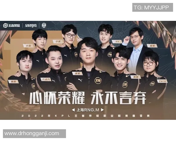 王者荣耀深度解析：RNG战队协作背后的秘密与策略探讨