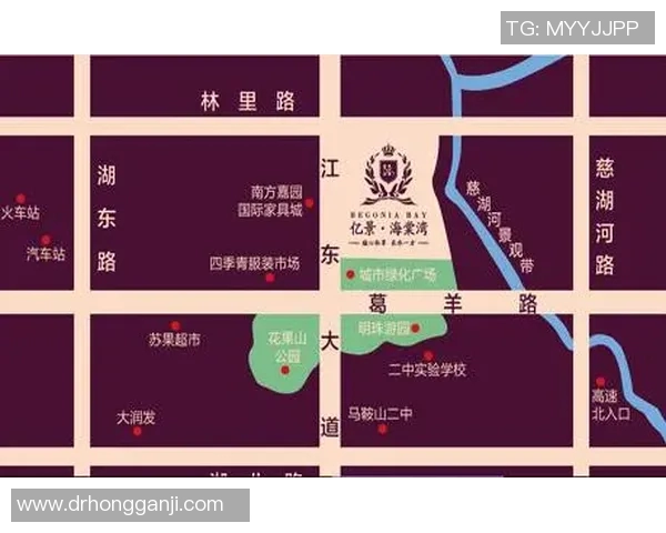南京飞盘队的阵地战策略与发展动态深度解析