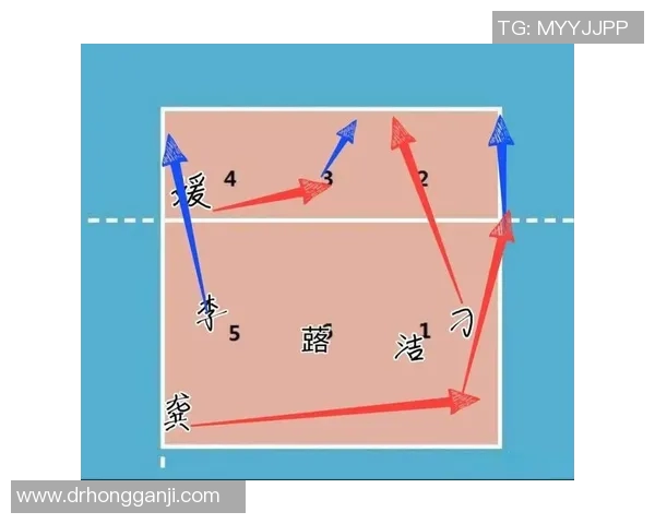 南京排球队的灵活性揭秘:排球运动中的技巧与战术分析