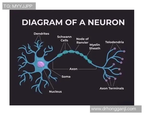 布莱克尼的神秘旅程探索未知世界的奇幻与魅力 布莱克尼的神秘旅程探索未知世界的奇幻与魅力