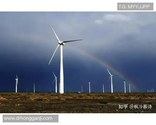 梦想与康太阳的较量结果揭晓未来发展方向与机遇分析