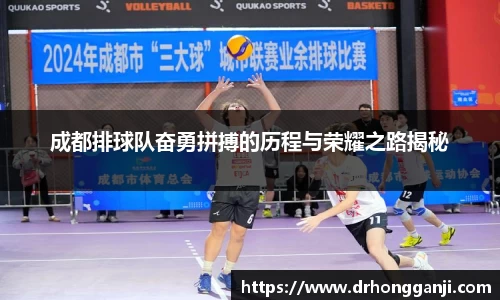 哈哈哈体育