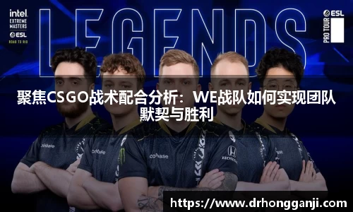 哈哈哈体育