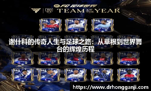 HAHA体育官网