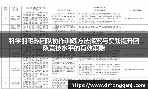 哈哈哈体育